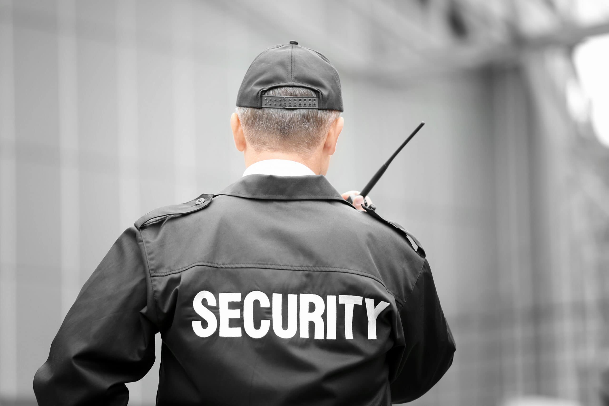 Funciones del Director de Seguridad.